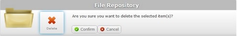 Delete File Confirmation