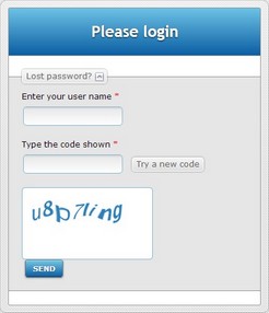 Login Lost Password