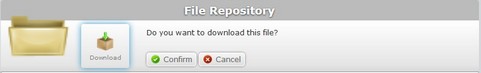 Download File Confirmation